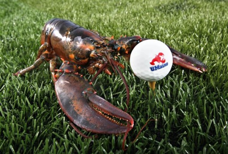 The lobster ball is the same size and weight as a standard golf ball but is intended for use on cruise ships or at driving ranges that are on lakes or the ocean.